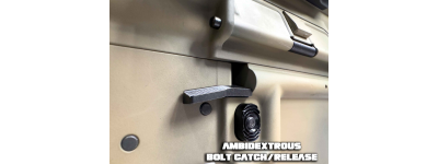 Ambi Bolt Catch
